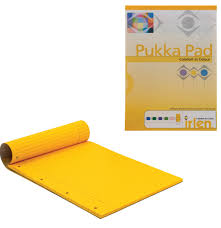 Pukka Pad Dyslexia Notepad A4 - Gold